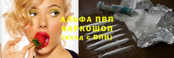 молекула духа Бородино