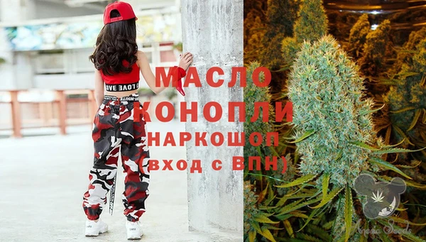 молекула духа Бородино
