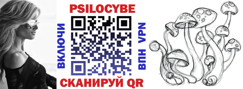 Купить  Новая Ладога  Псилоцибиновые грибы прущие грибы 