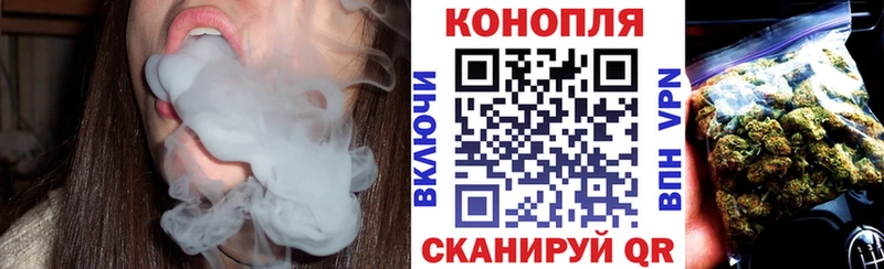 Купить Новая Ладога Бошки марихуана OG Kush